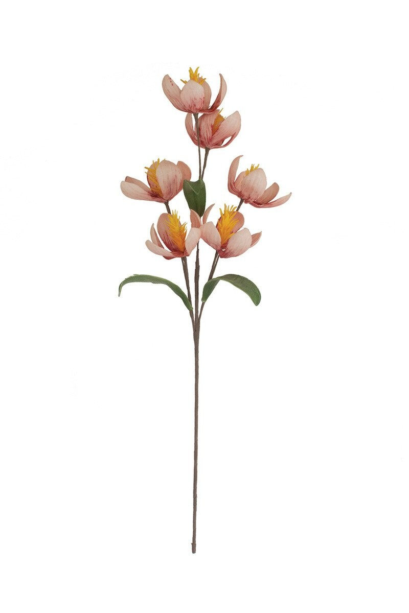 Pink Floral Stems