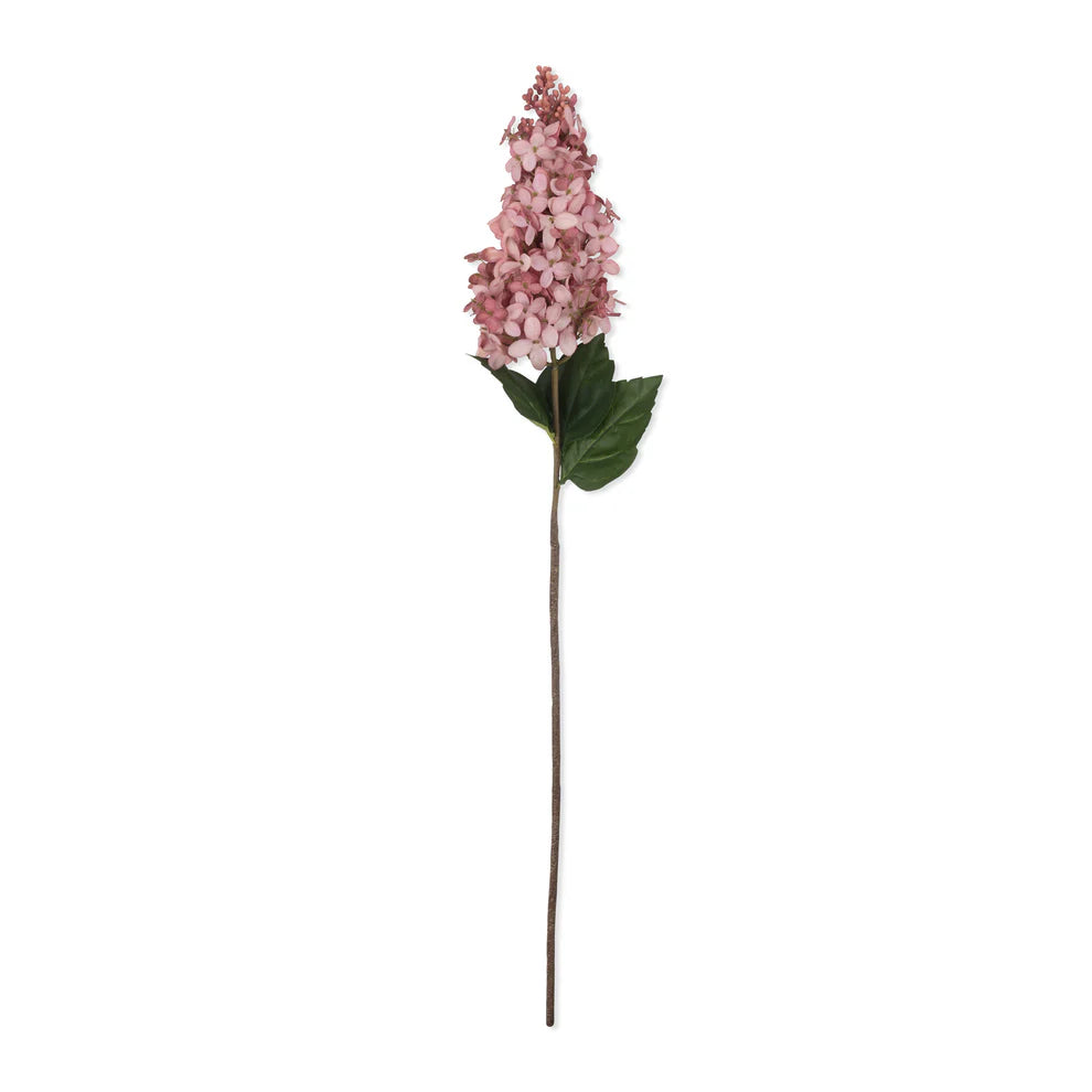 Sunset Hydrangea Stem