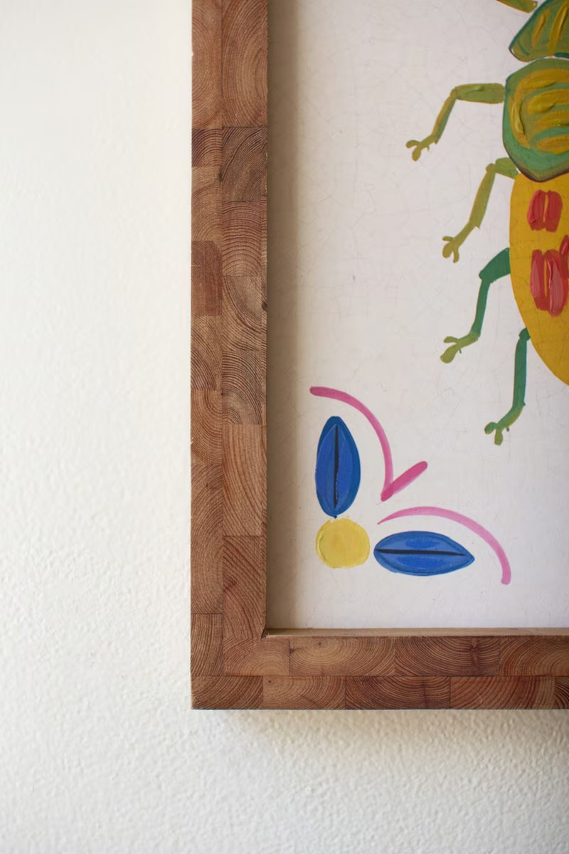 Framed Canvas Beetle Paintings