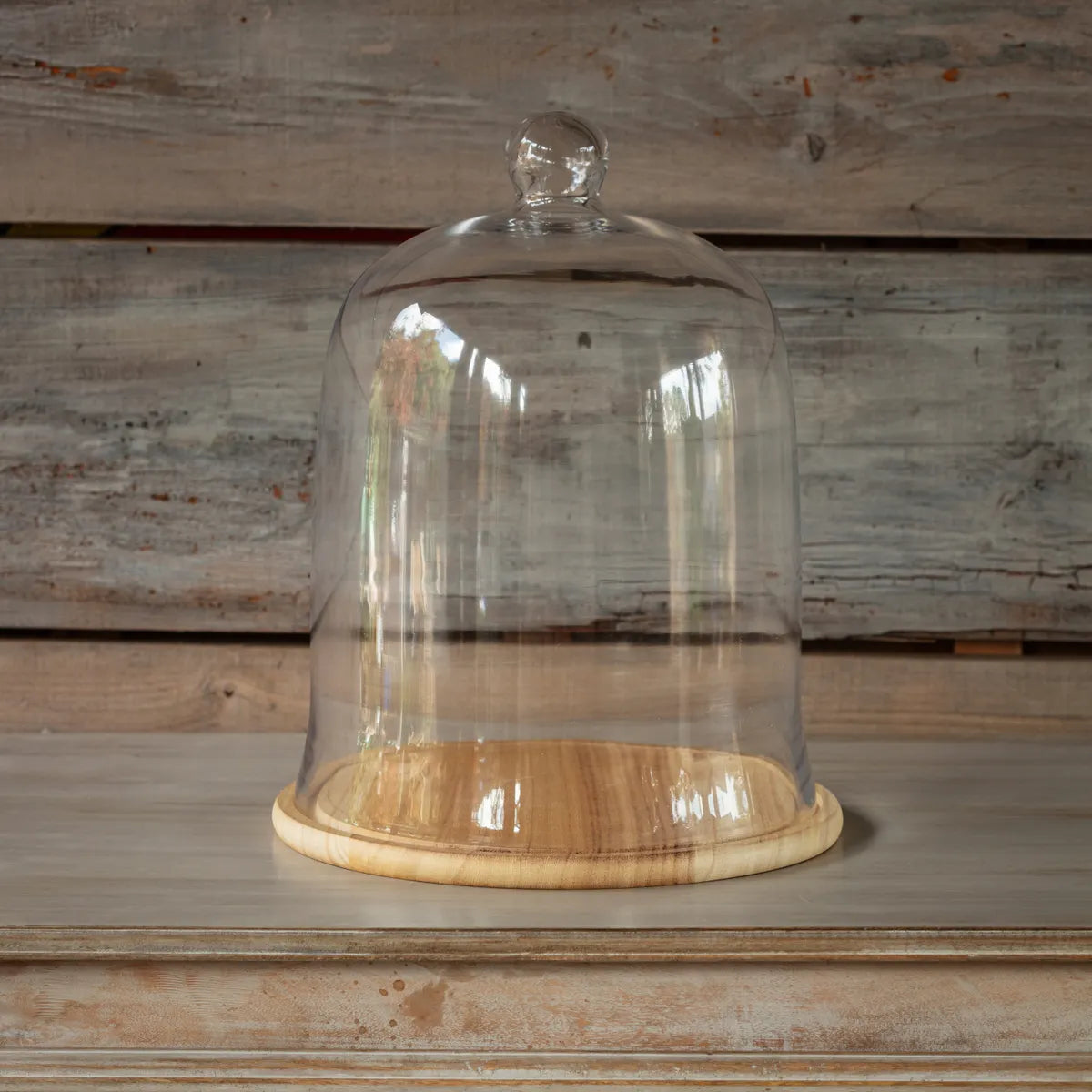 Large Cloche w/ Wood Base