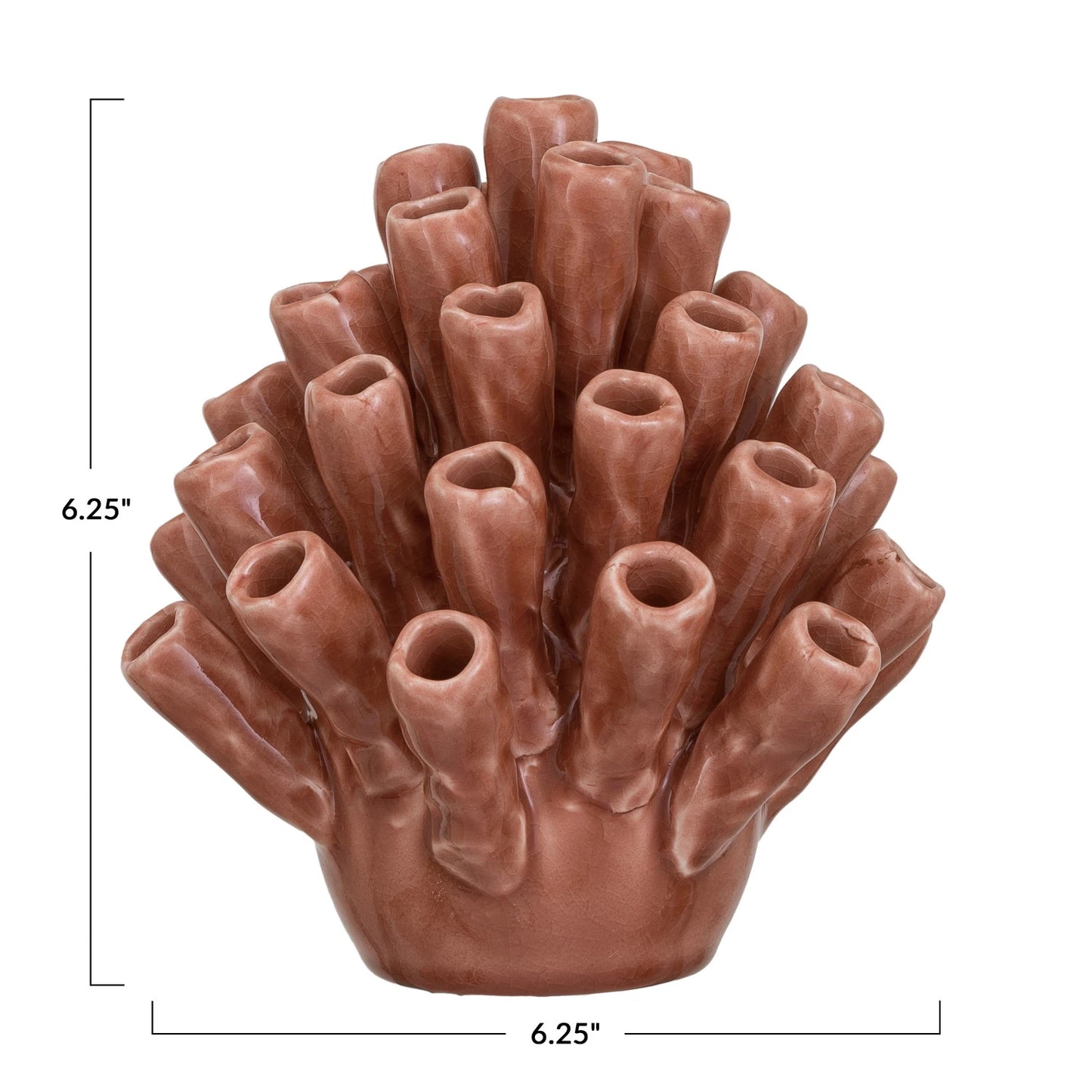 Coral Decor