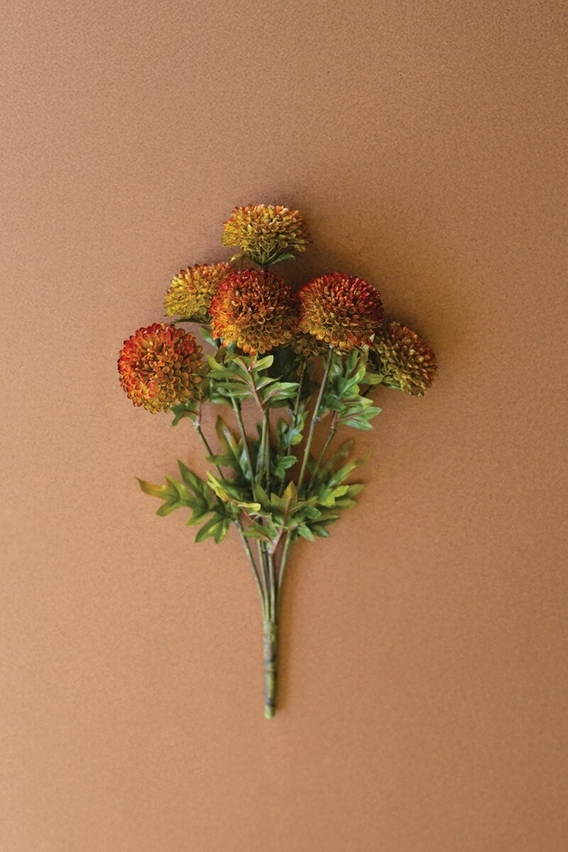 Auburn Dahlia Bundle