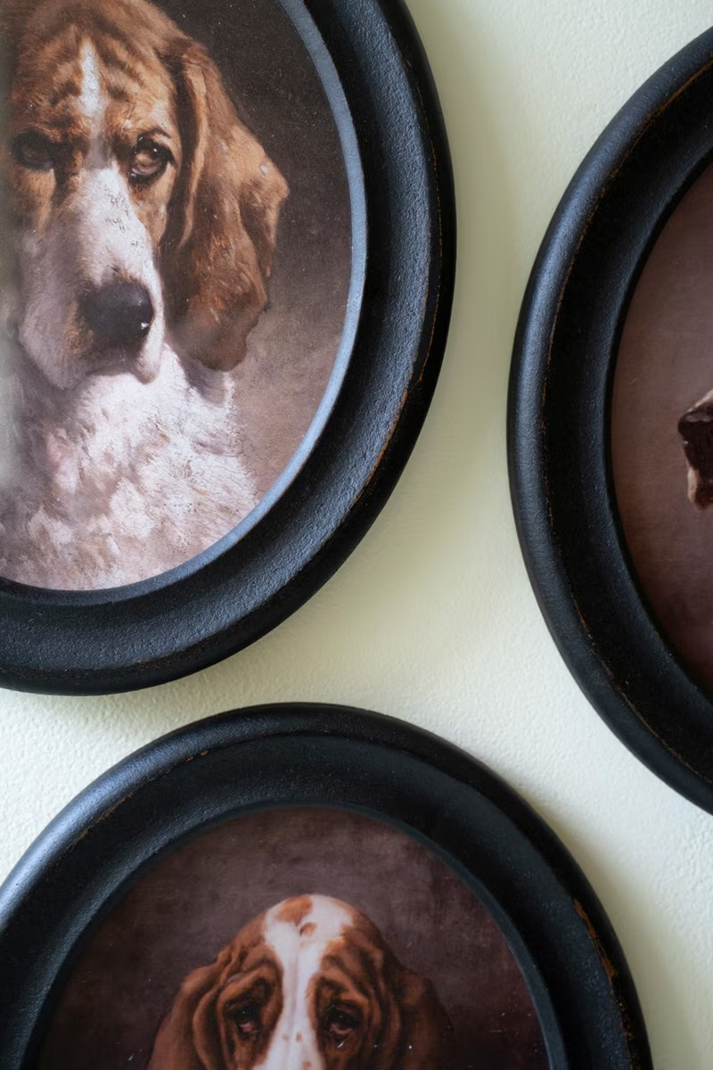 Oval Framed Hound Portrait