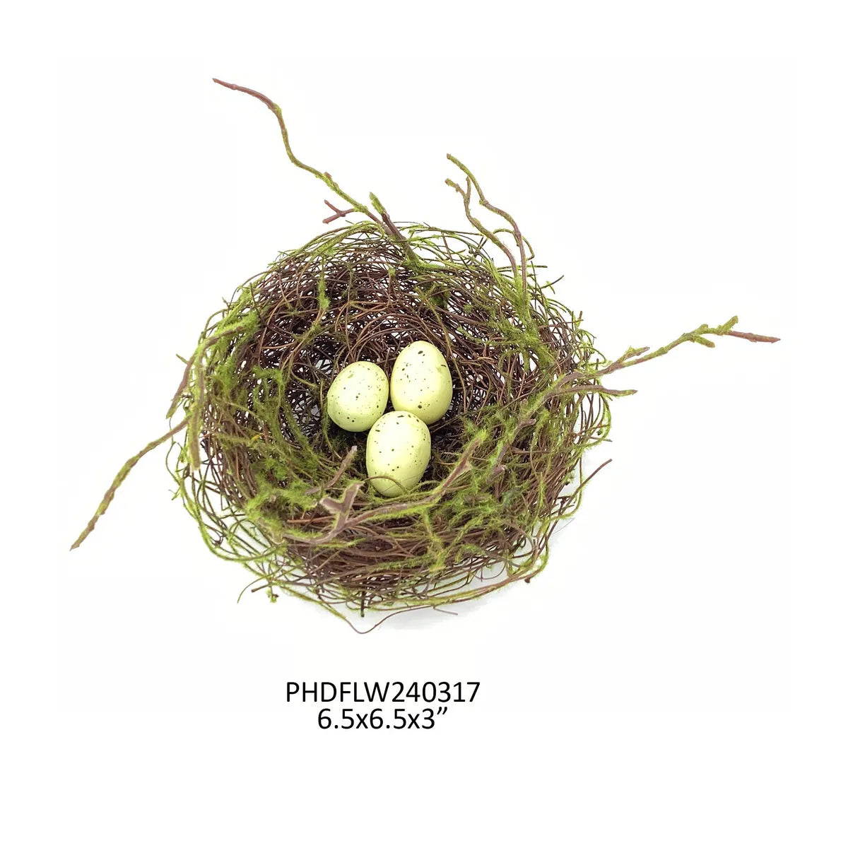 Nest with Eggs