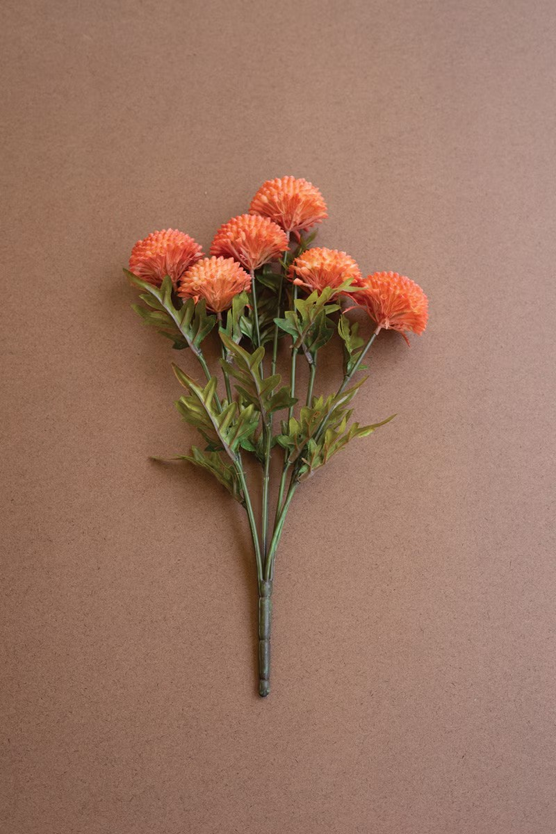 Zinnias Stem