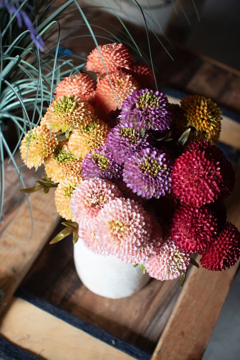 Zinnias Stem