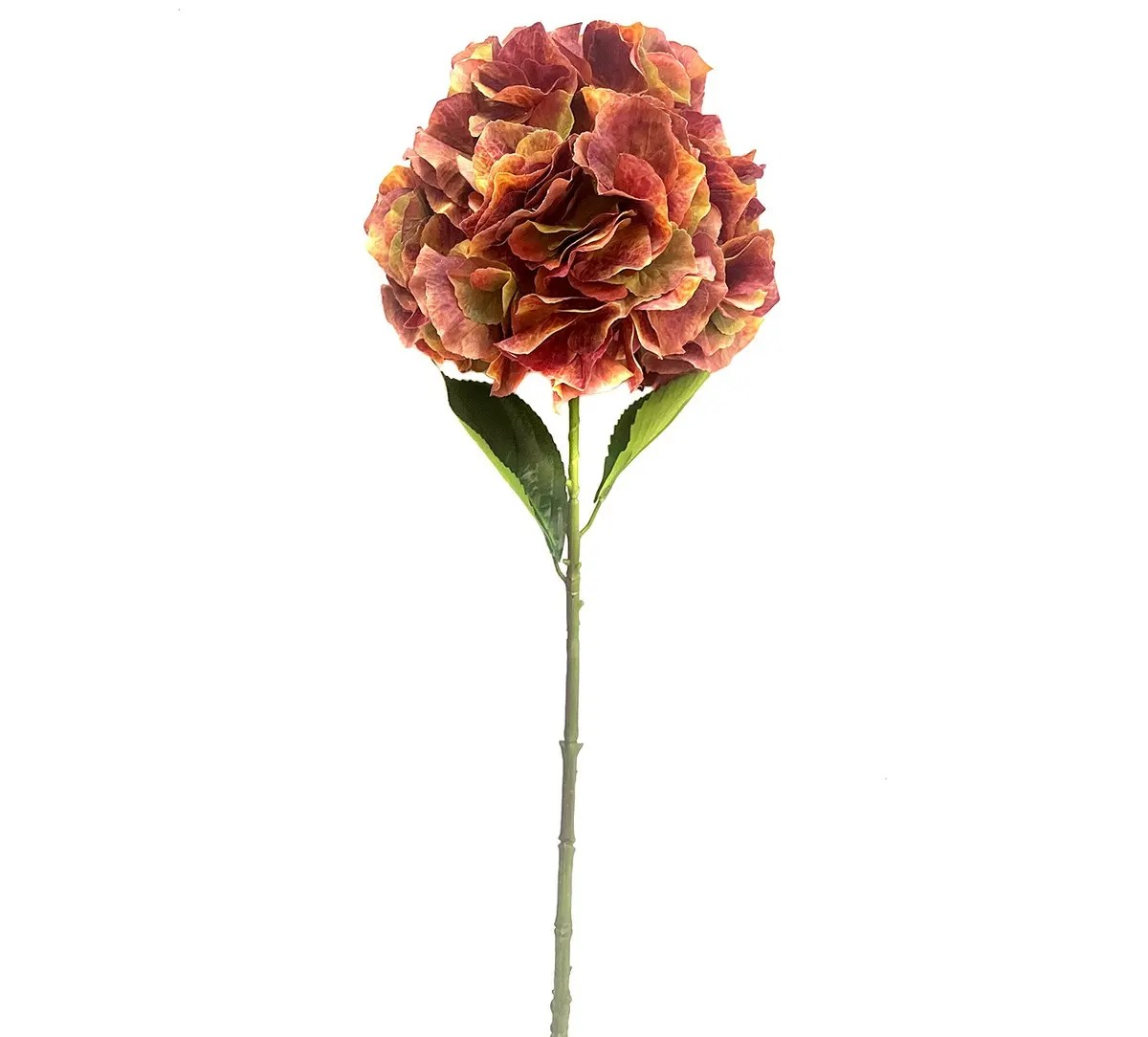 Rosewood Hydrangea Stem