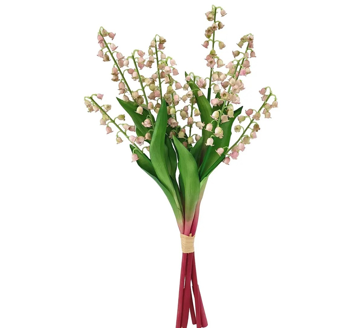 Pink Lily Bundle