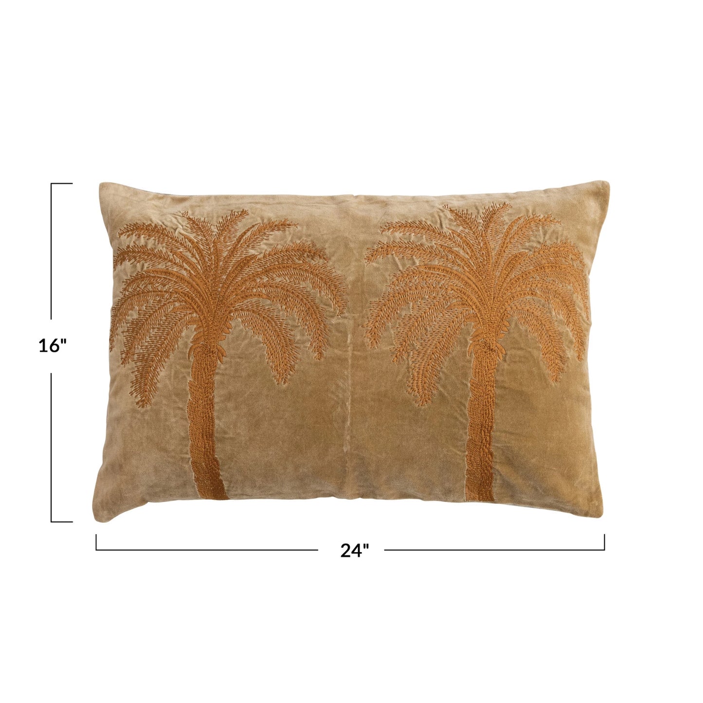 Carmel Palm Trees
