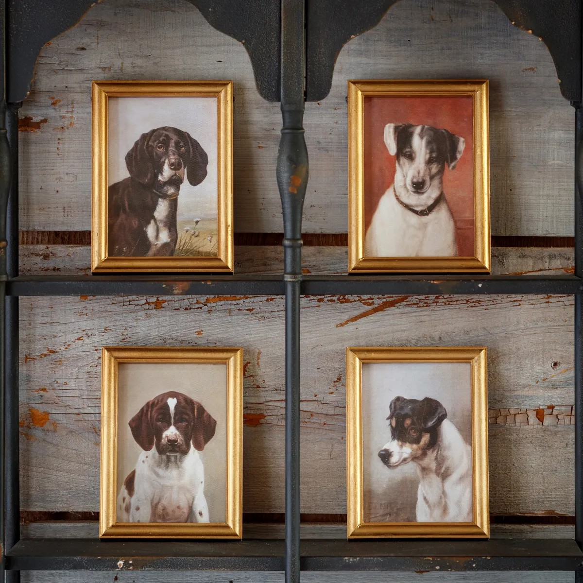 Puppy Dog Portrait