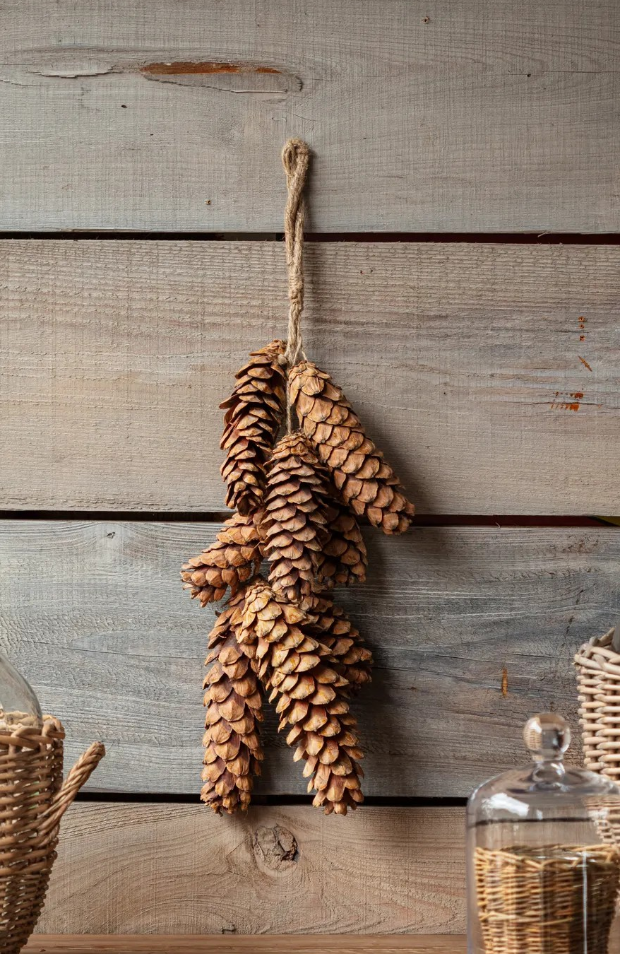 Pinecone Bunch
