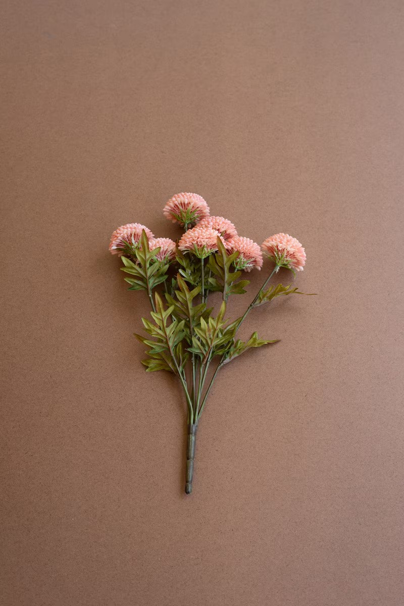 Zinnias Stem