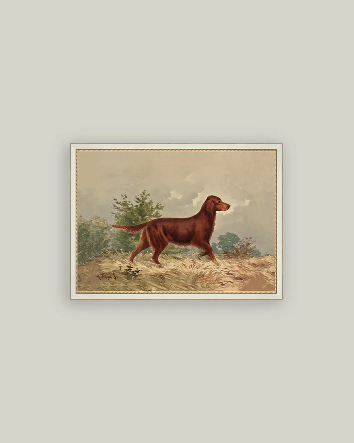 Standing Retriever Portrait