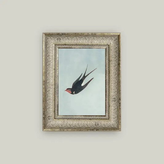 Framed Swallow Boraston Print