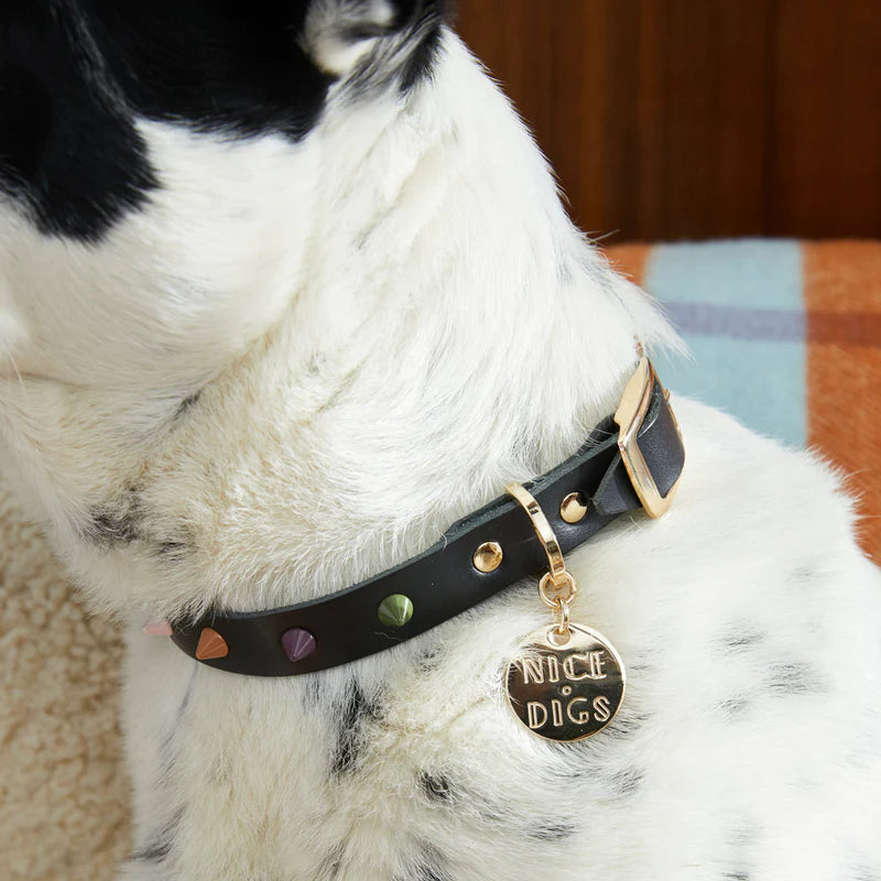Noir Dog Collar