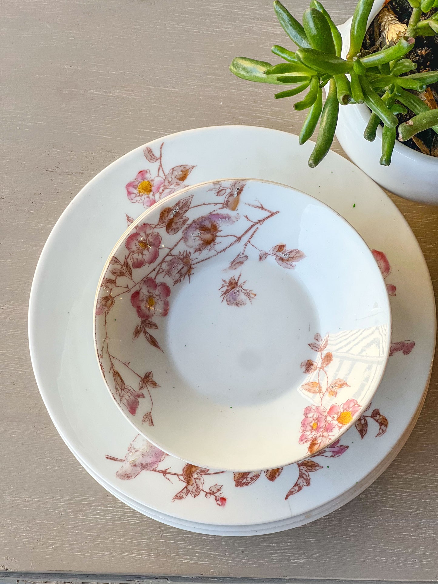 Vintage "Flowers in Bloom" Plates