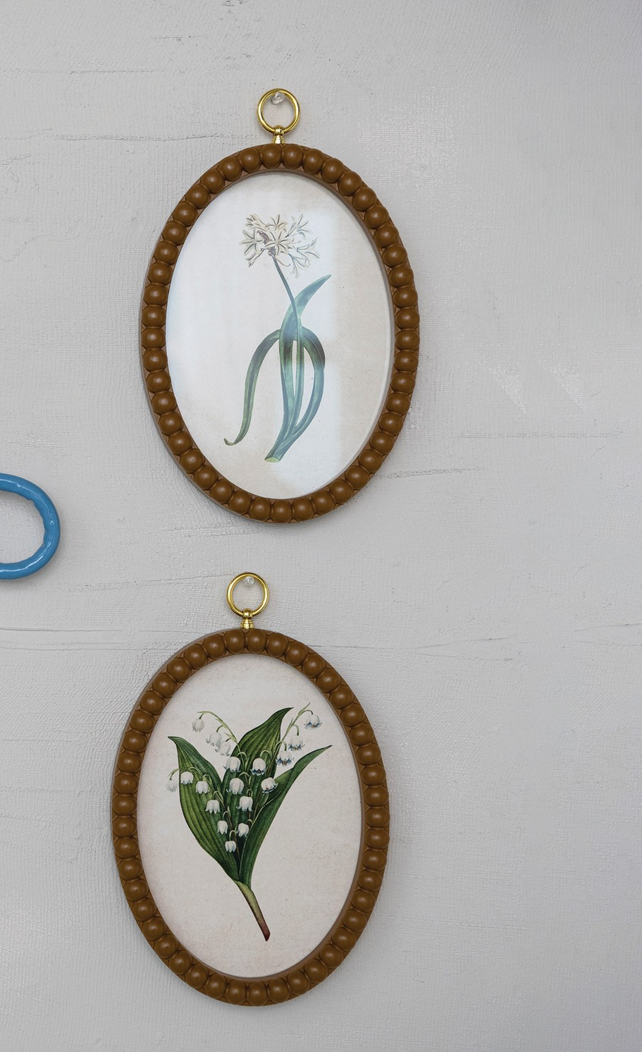 Oval Framed Floral Print