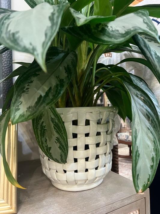 Italian Basketweave Planter