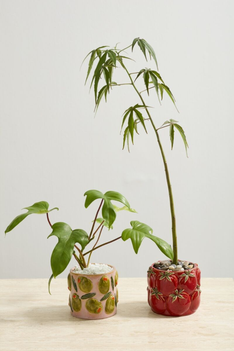 Olive Cucina Pot