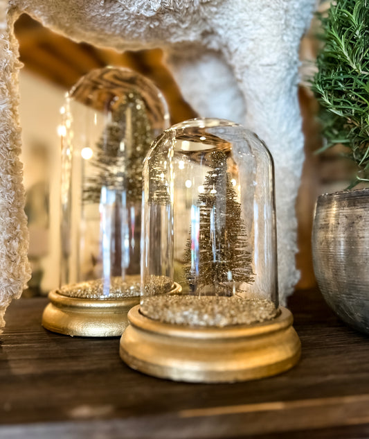 Cloche Enclosed Bottle Brush Tree