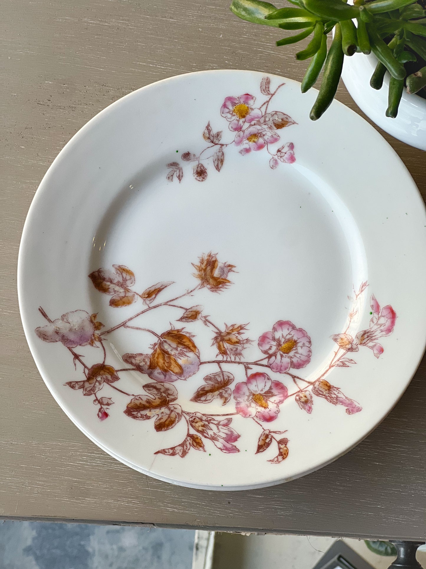 Vintage "Flowers in Bloom" Plates