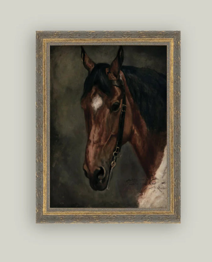 Horse Portrait Framed Art