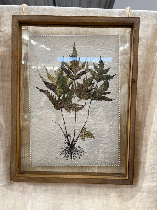 Wood Framed Glass Botanicals