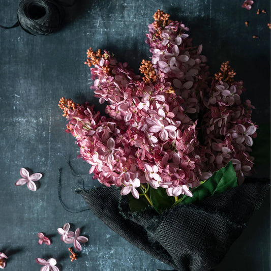 Sunset Hydrangea Stem