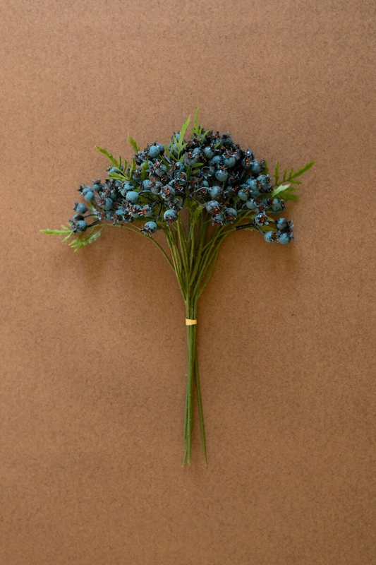 Blueberry Bundle