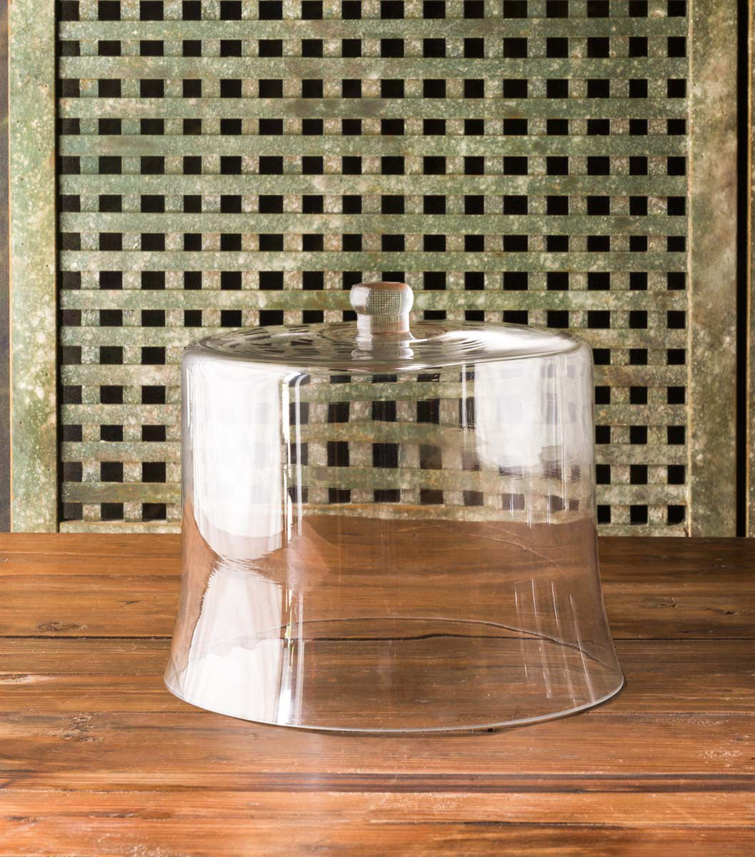 XL Glass Cloche