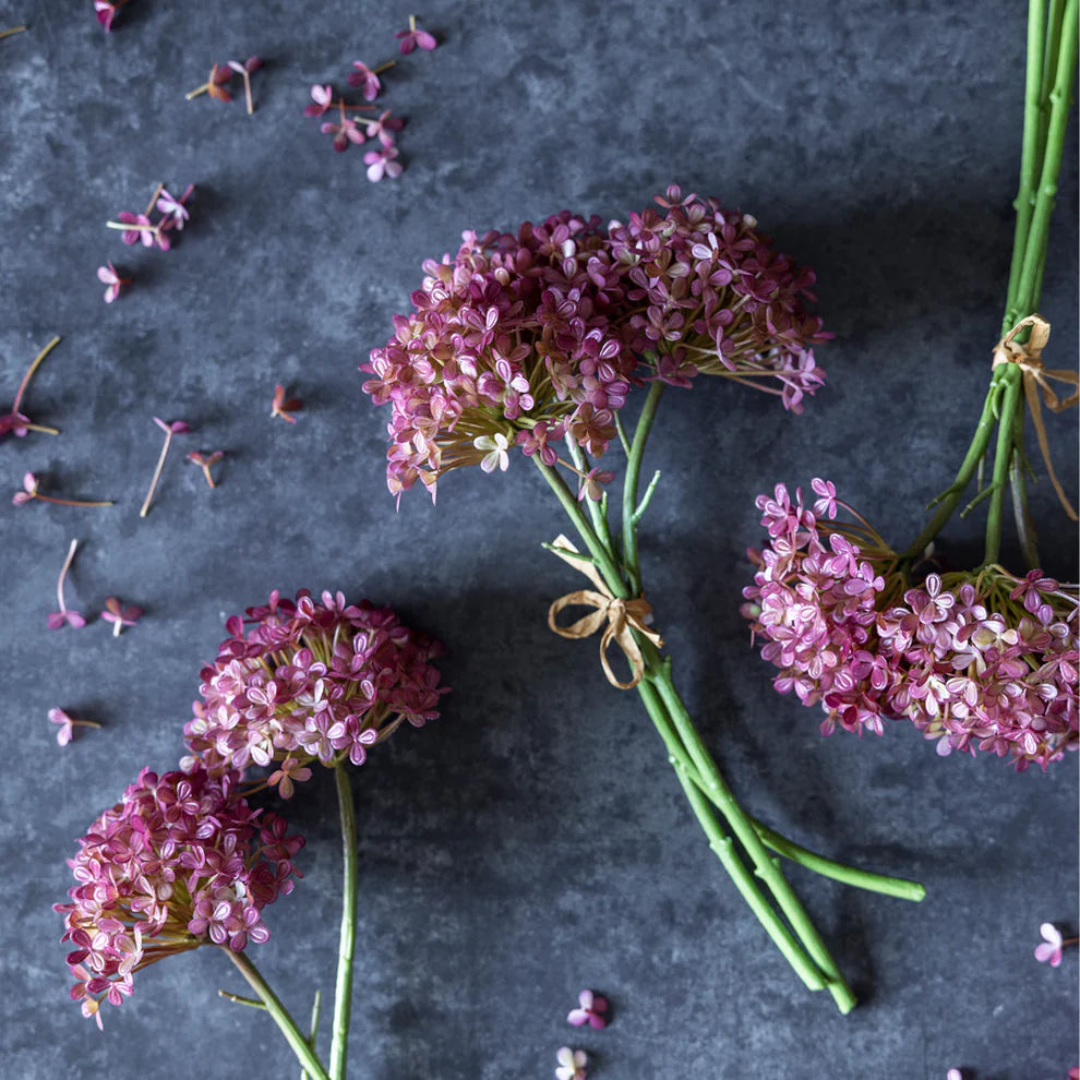 Hortensia 3 Stem Bundle