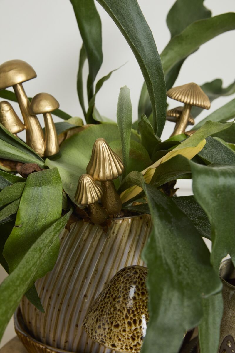 Mushroom Plant Stick