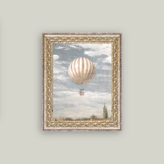 Framed Air Ballon Print
