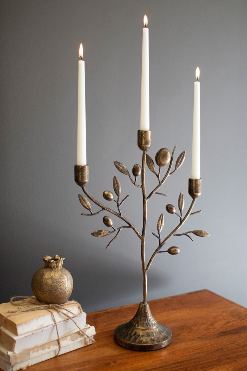 Fruit Tree Taper Holder