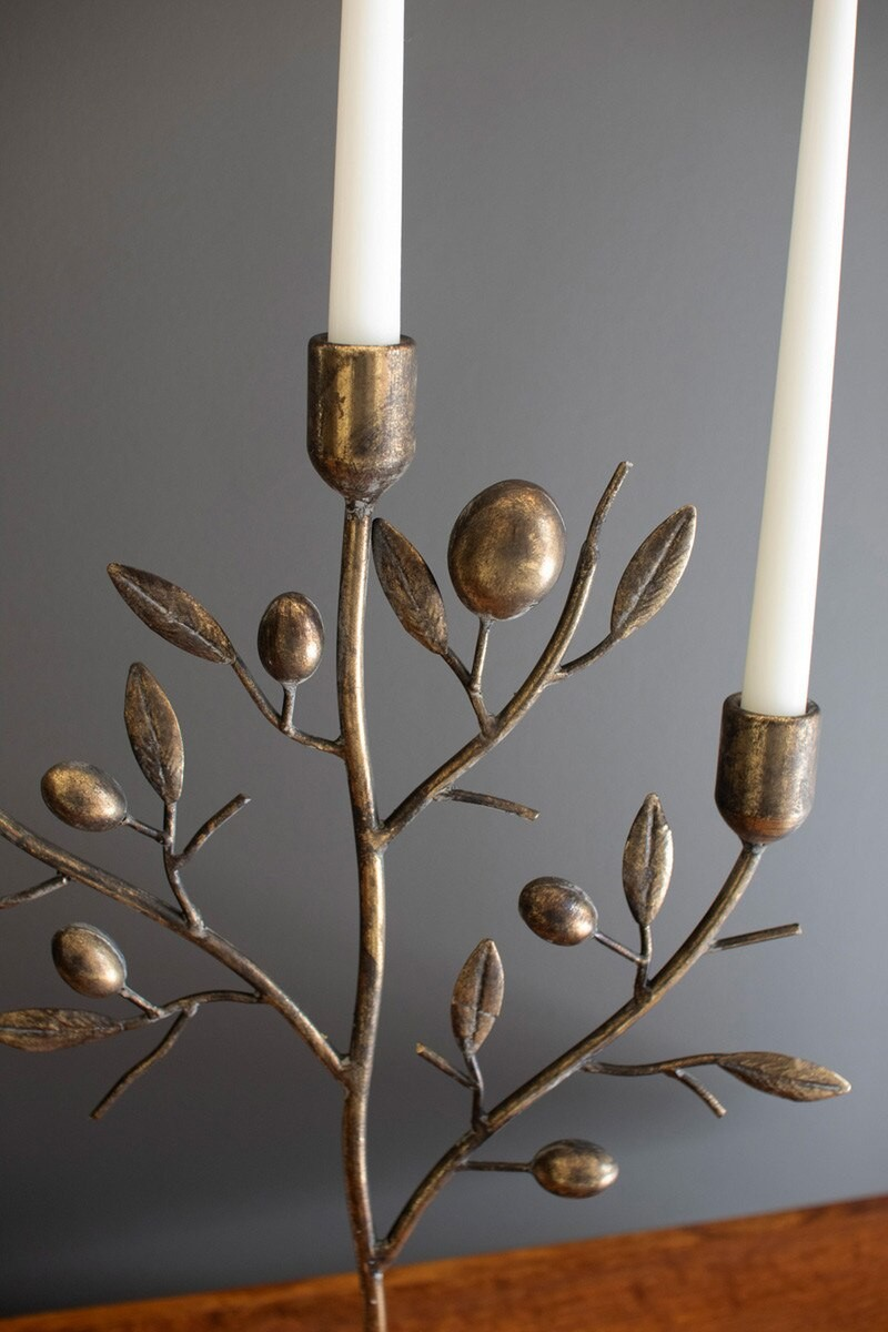 Fruit Tree Taper Holder
