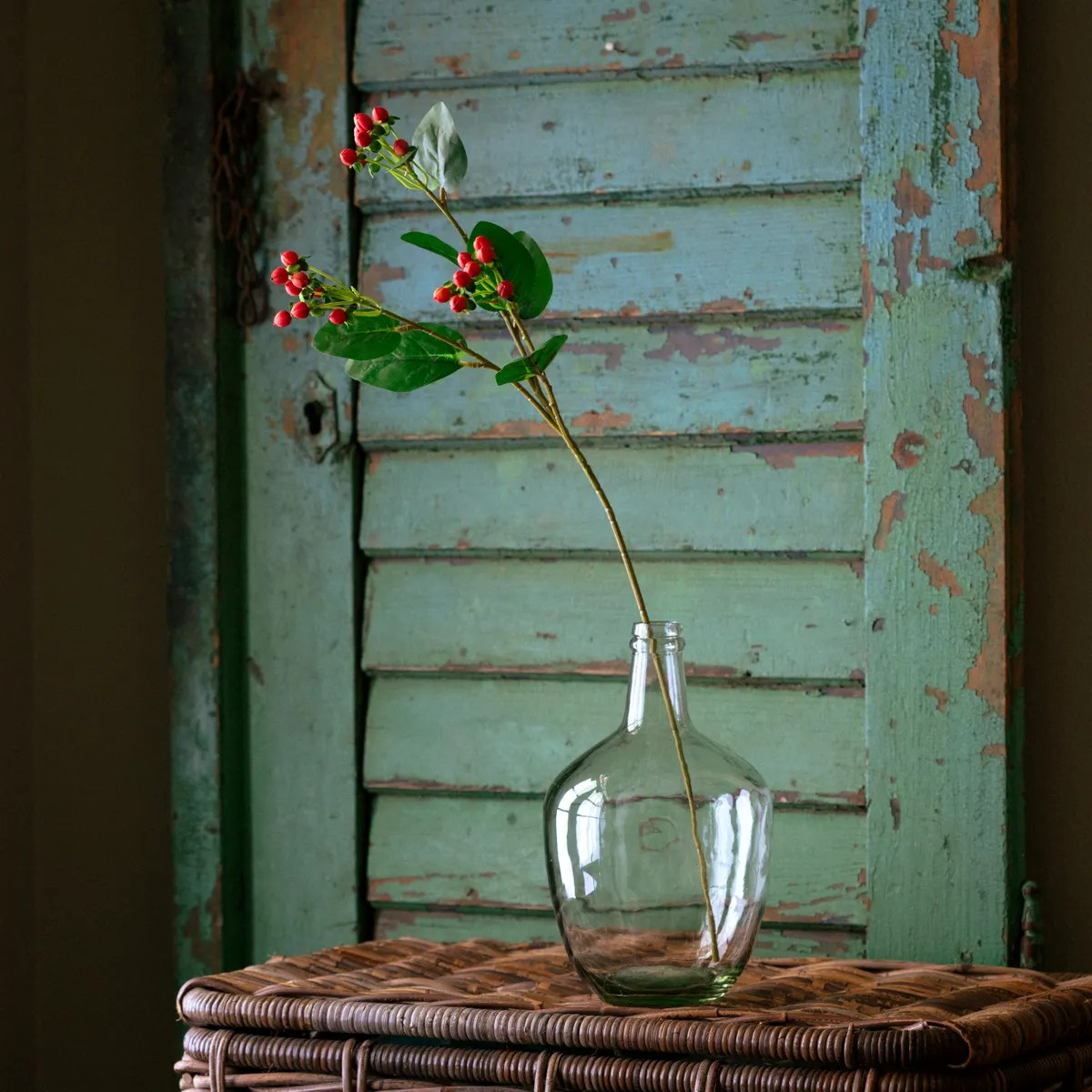 Hypericum Berry Branch