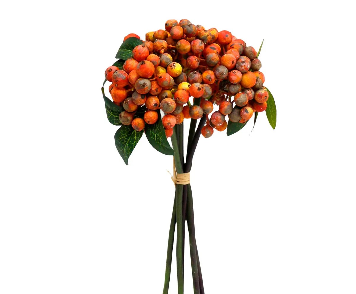 Orange Berry Bundle