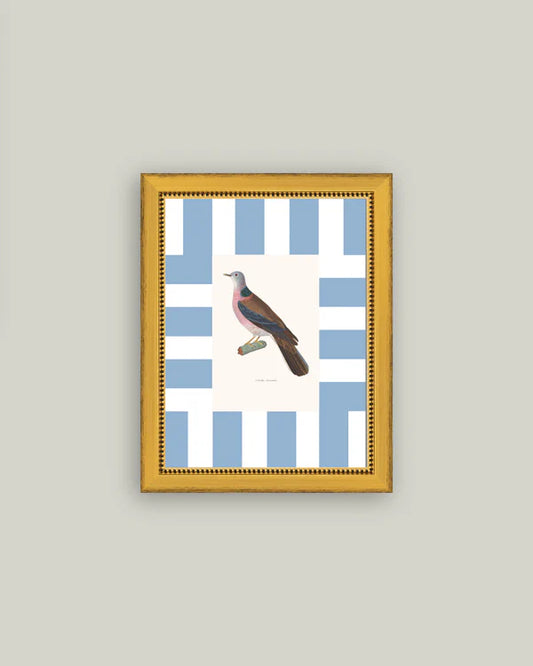 Framed Colored Dove