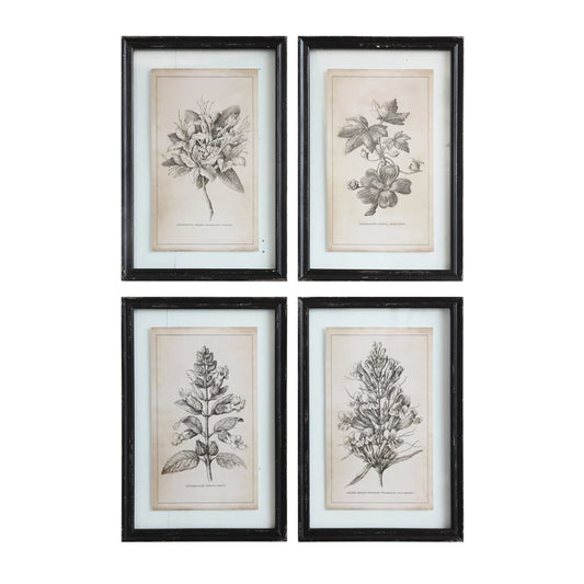 Black & White Botanical Prints