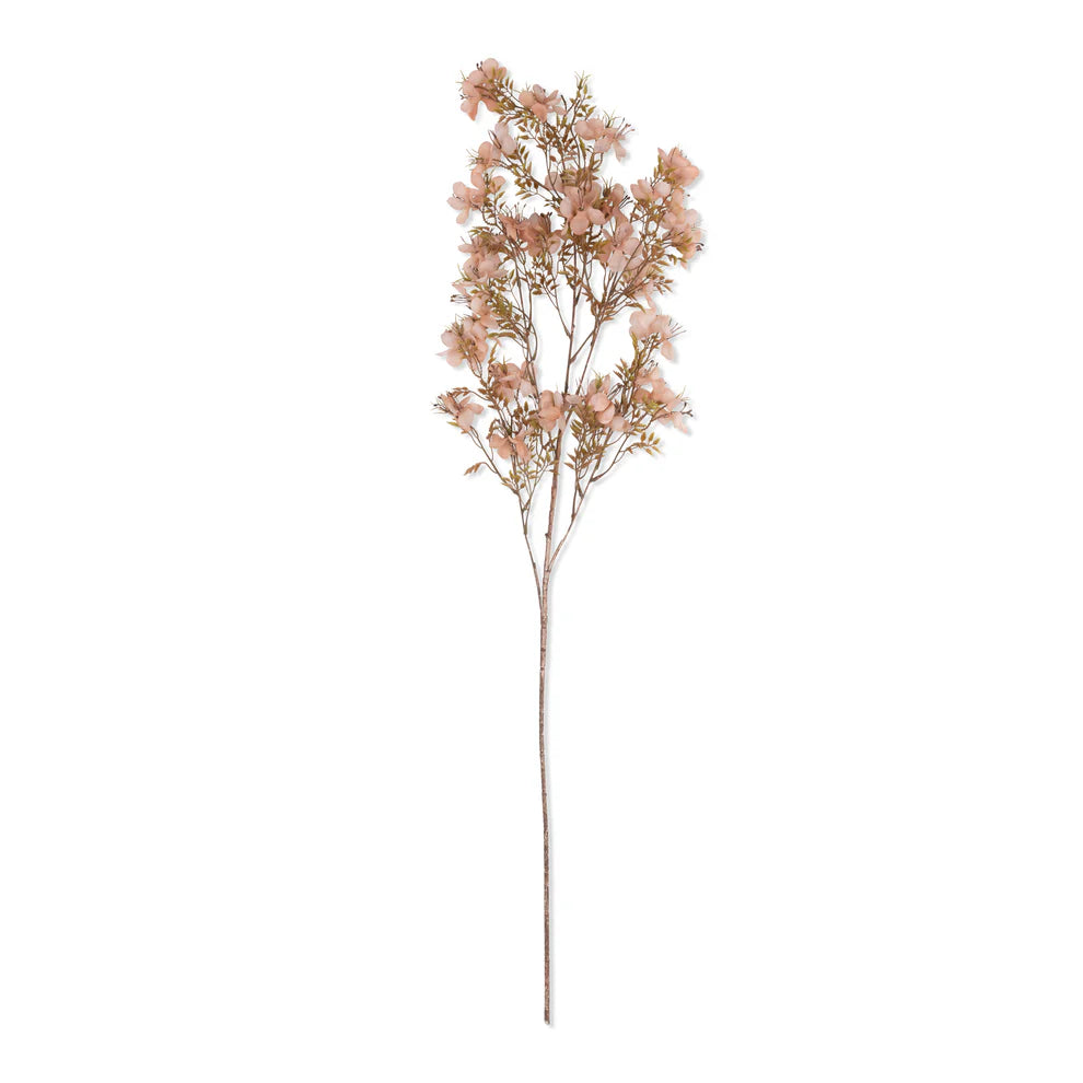 Prunus Blossom Tall Stem