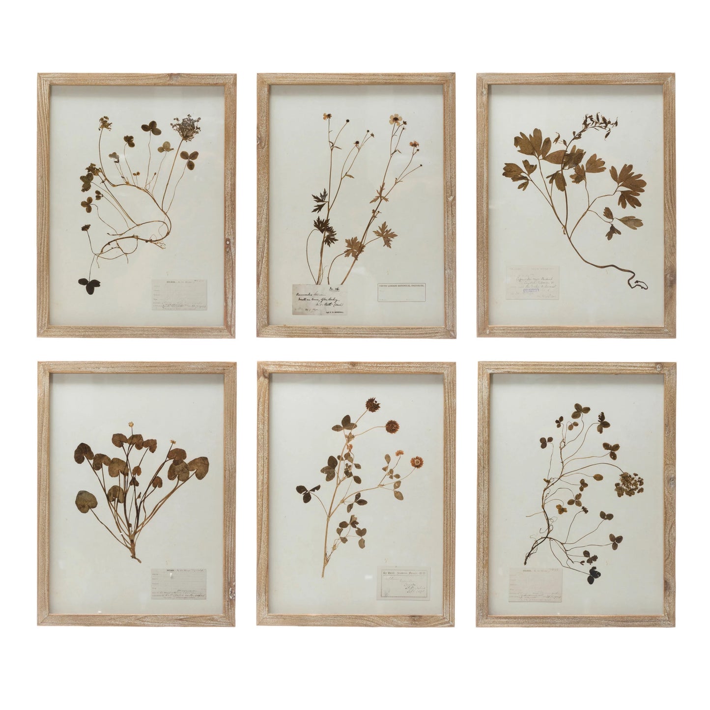 Wallflower Prints