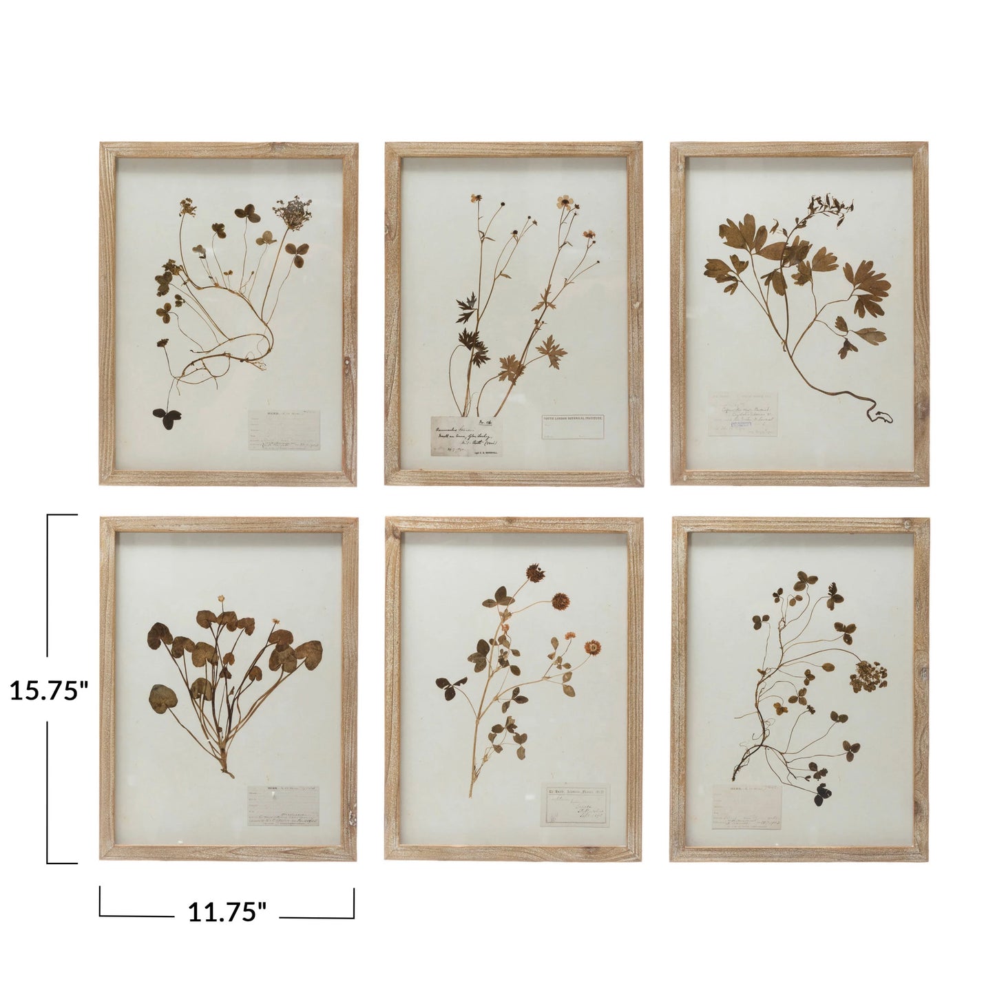 Wallflower Prints