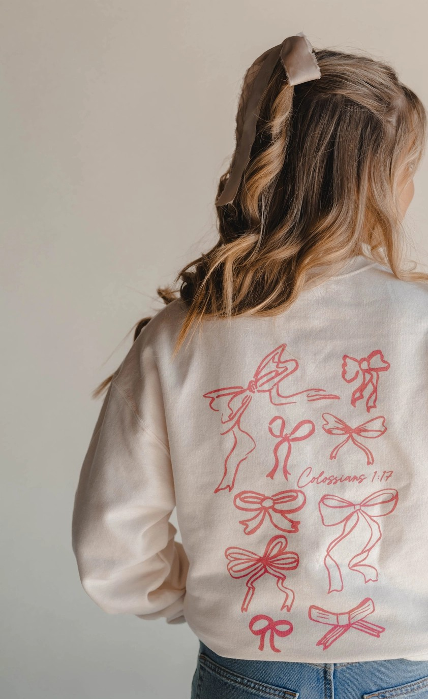 He Holds All Together Pullover