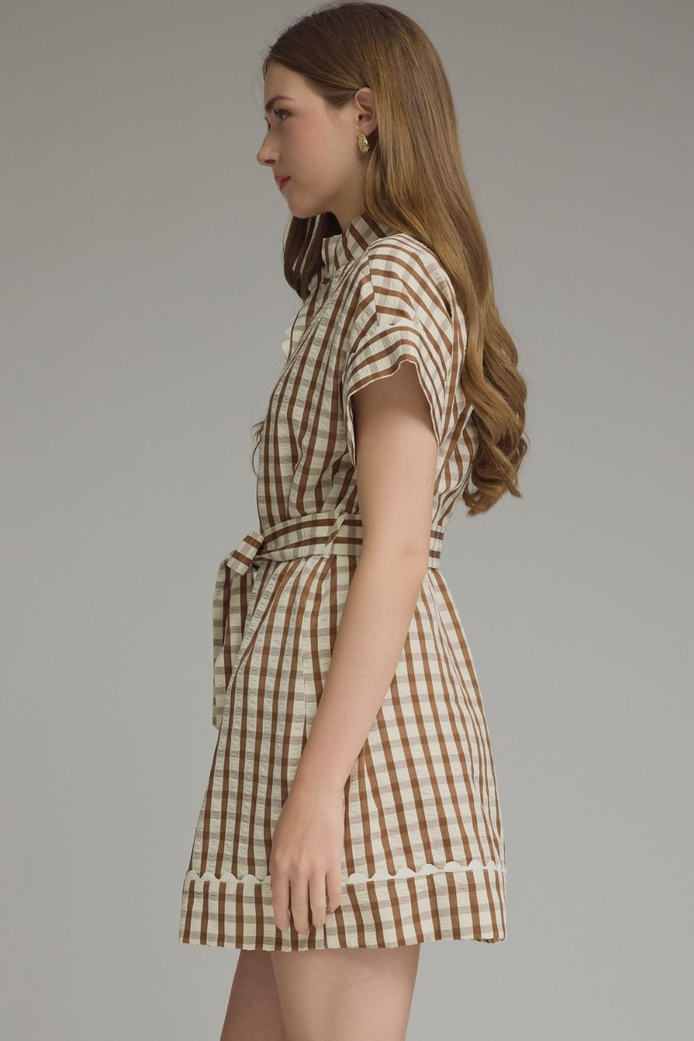 Brown Check Dress