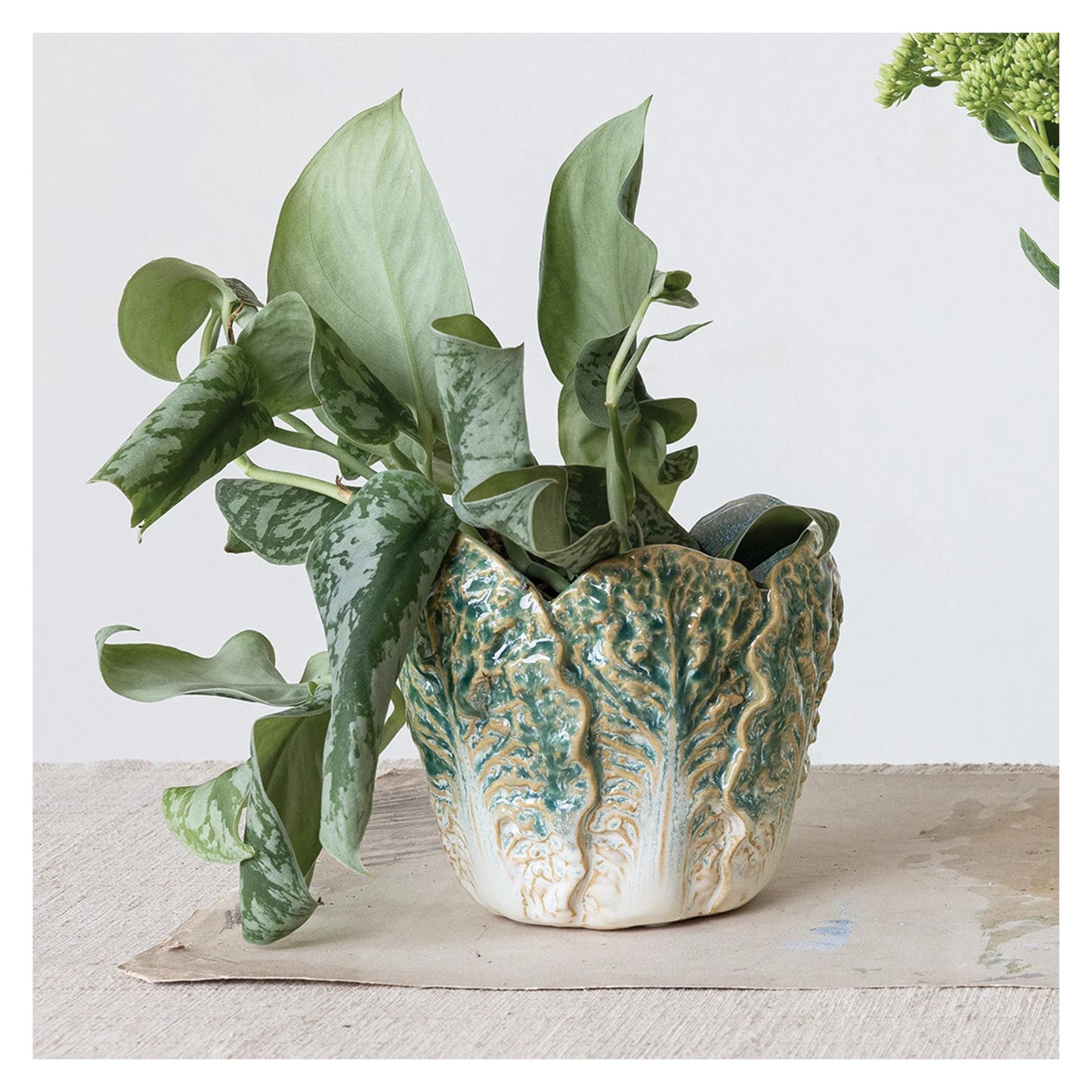 Cabbage Planter