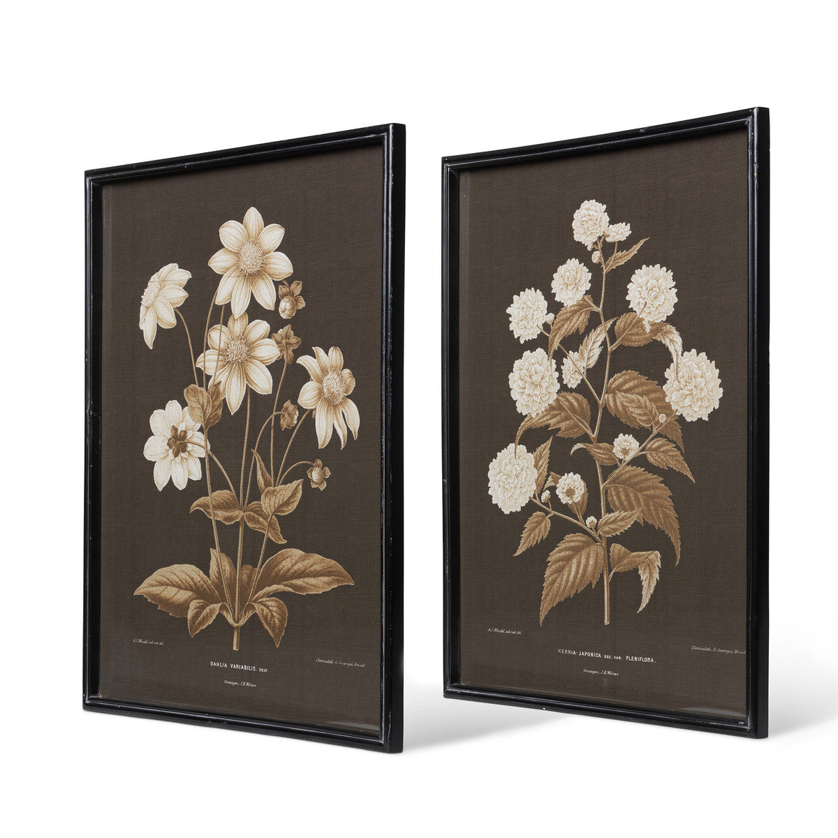 Chocolate Textured Floral