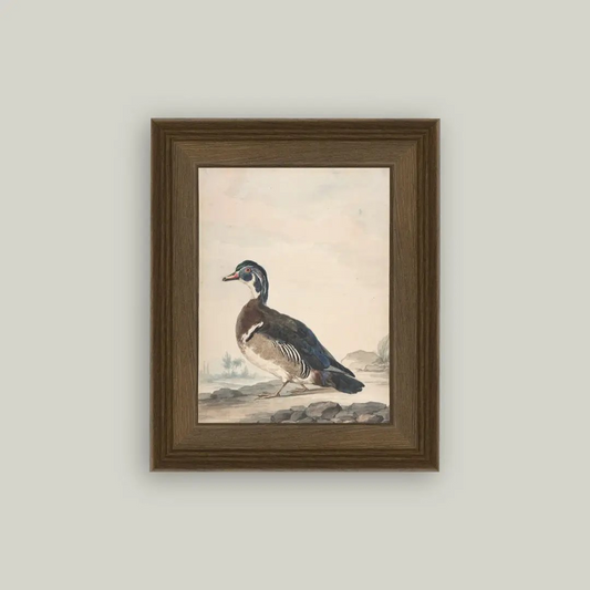 Duck Portrait