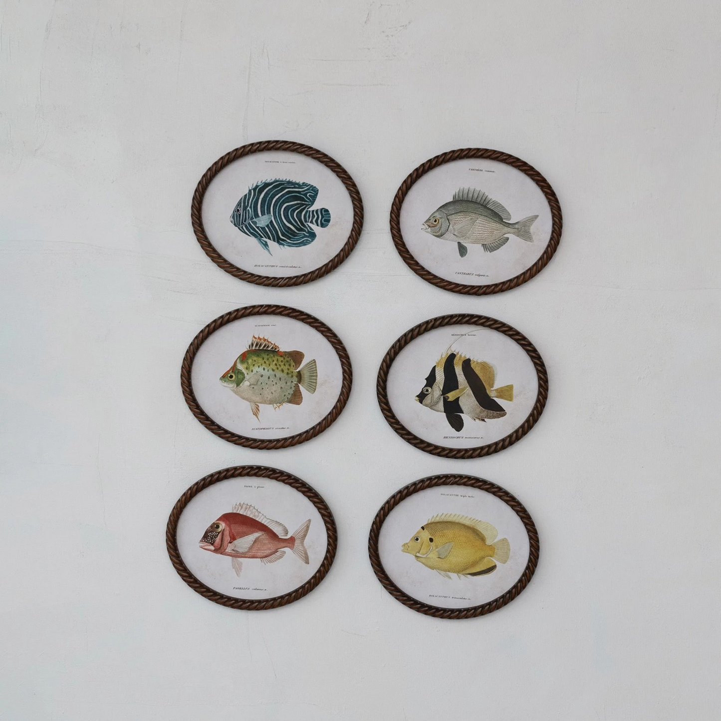 Coastal Framed Fish