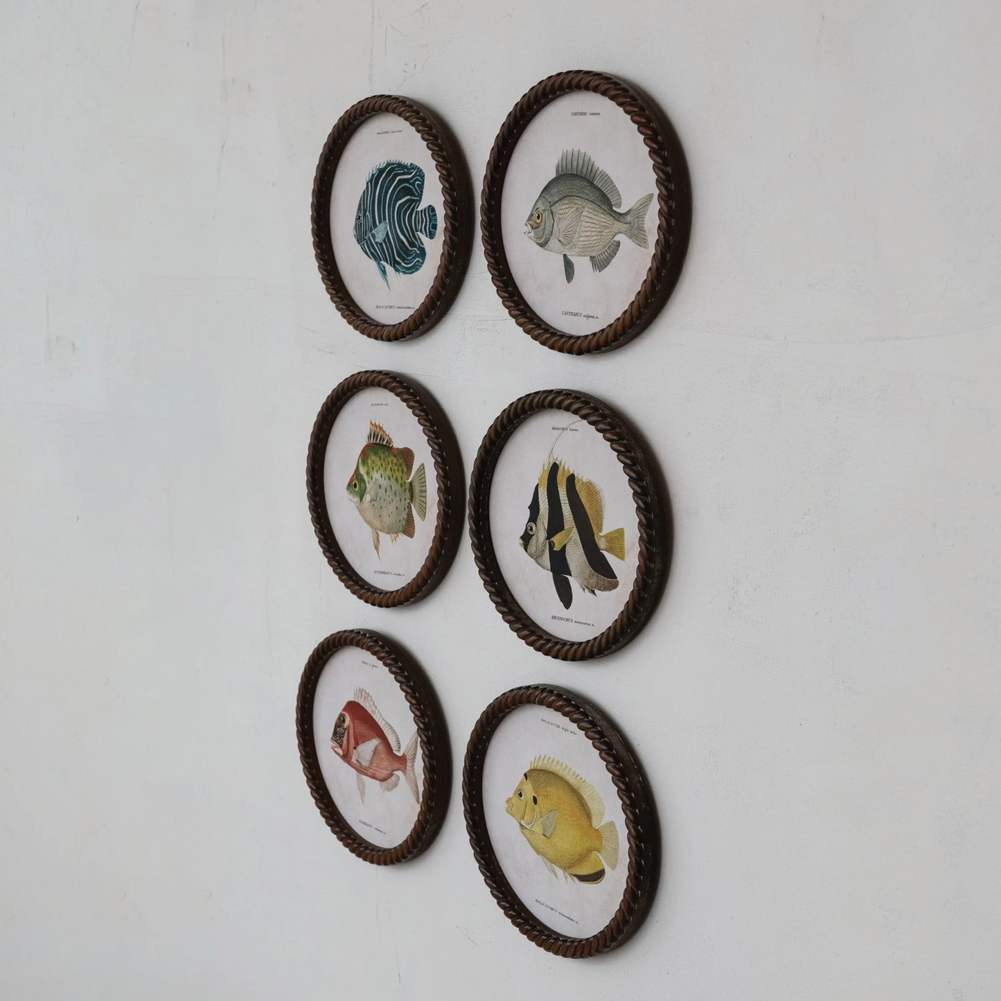 Coastal Framed Fish