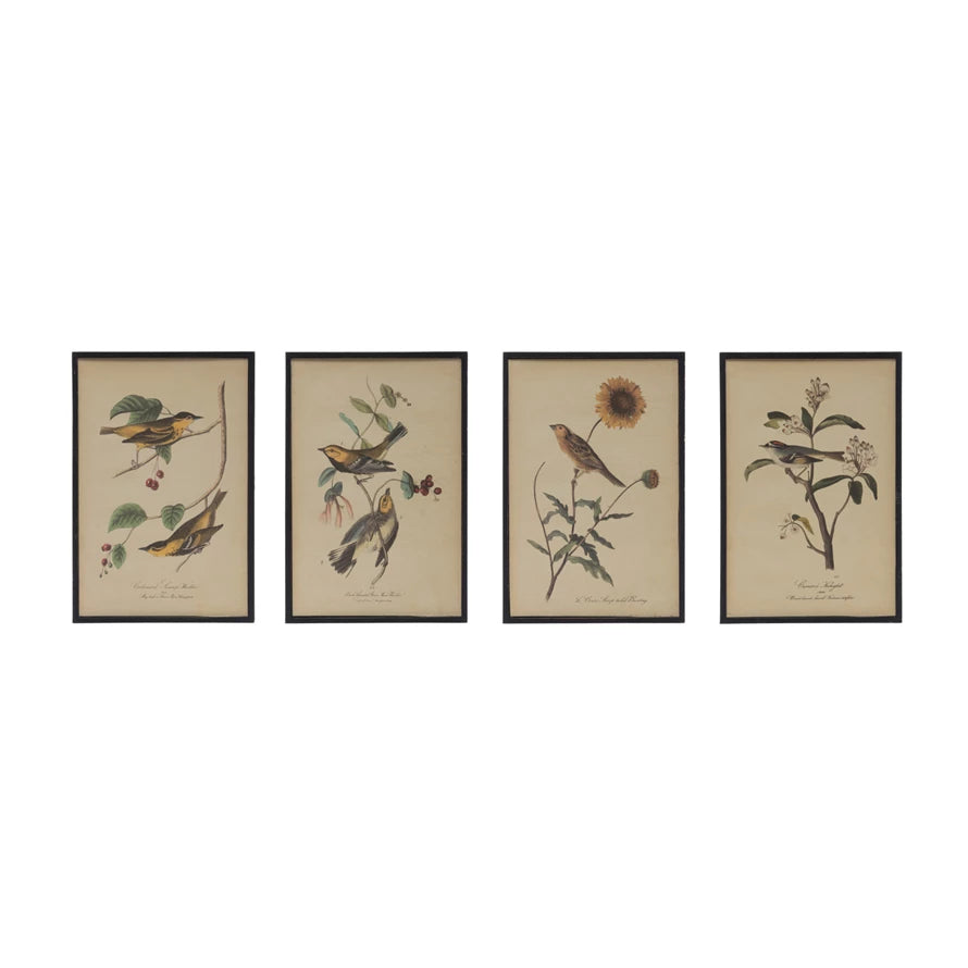 Birds of Flower Framed Wall Prints